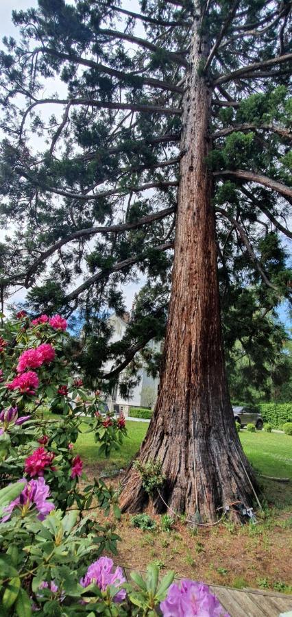 Residence Mont-Blanc Cenevre Dış mekan fotoğraf
