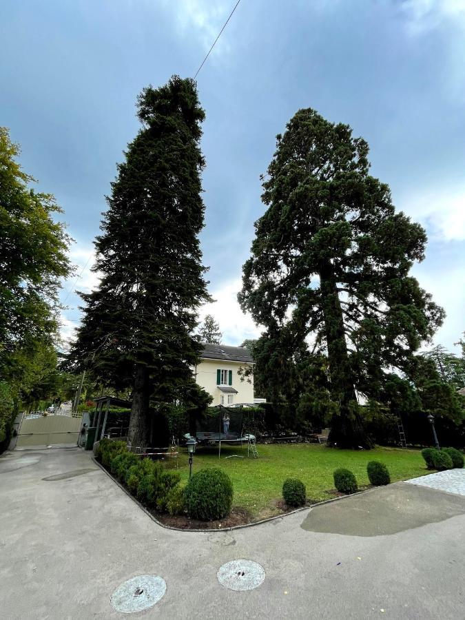 Residence Mont-Blanc Cenevre Dış mekan fotoğraf